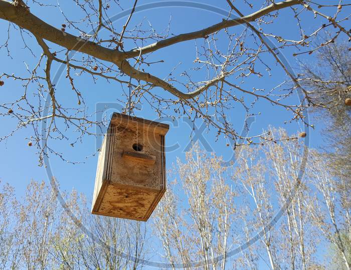 Birdhouse For Birds Made By Man, Hanging On A Tree.
