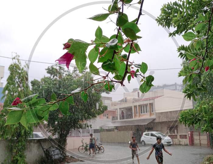 Monsoon in India