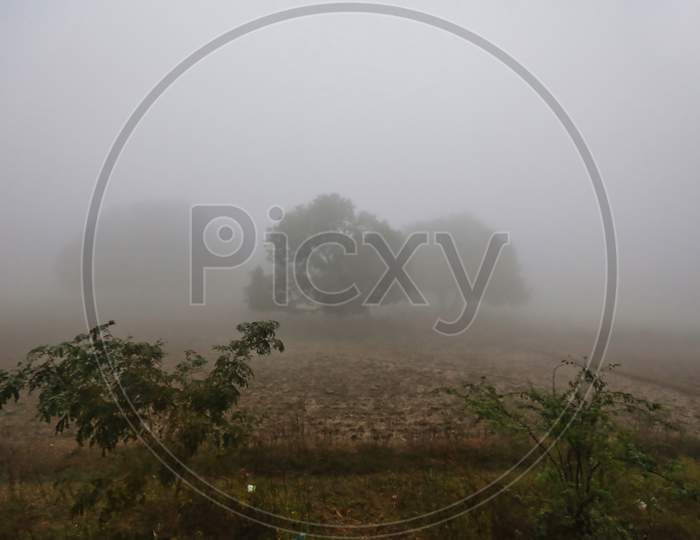 Foggy Winter Countryside In India