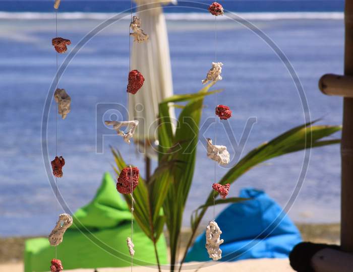Coral Pieces Hanging On Wire At Tropical Beach Bar