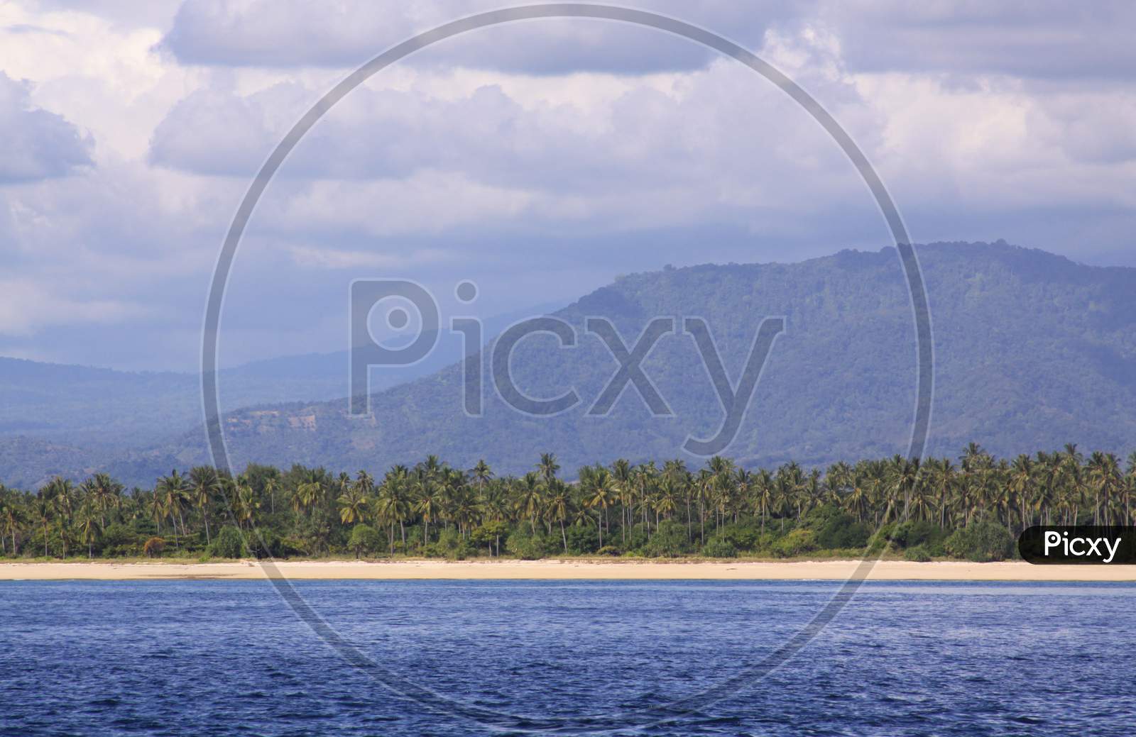 Exotic Beach In Tropical Landscape With Palms