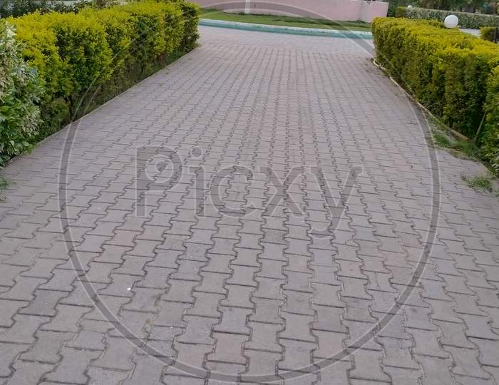 Empty path in park