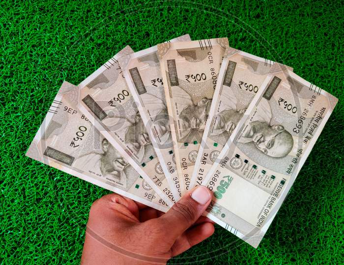 Indian Asian Man Holding Six 500 Rupees Note In His Hand. Isolated On Green Background. Daylight