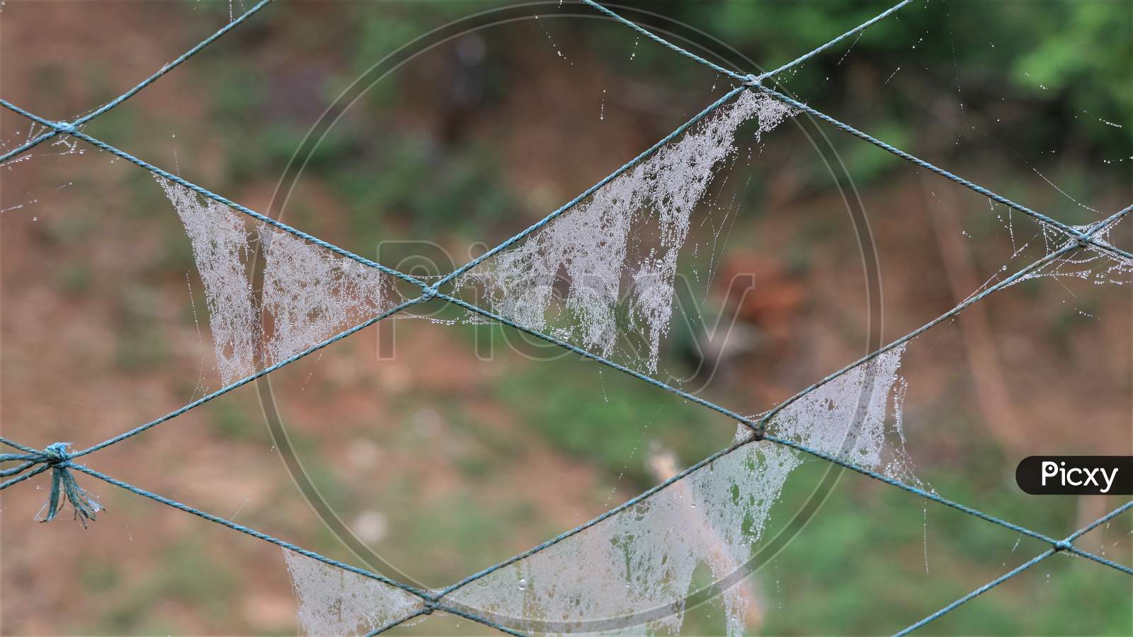 Spider web on nylon net in mist