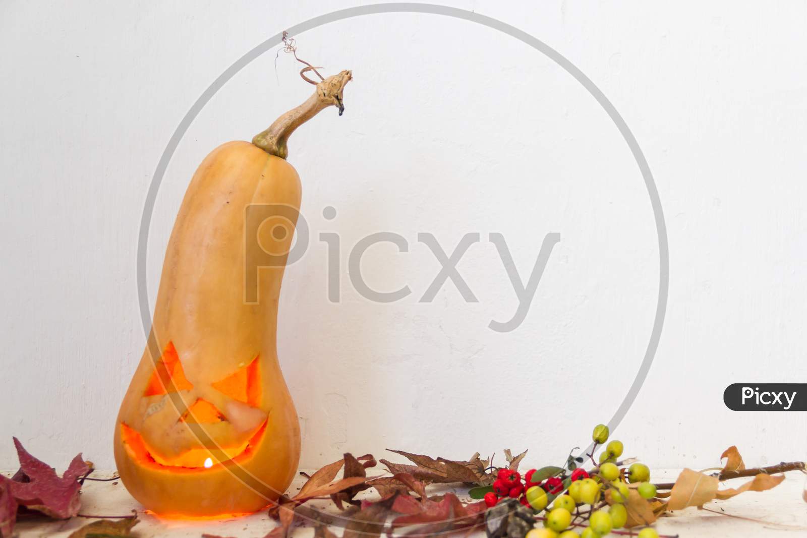 Halloween Pumpkins On White Background With Space For Text
