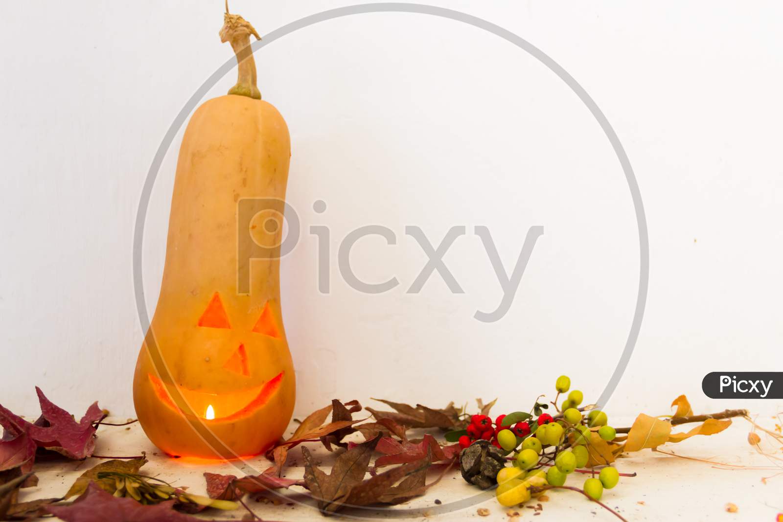 Halloween Pumpkins On White Background With Space For Text