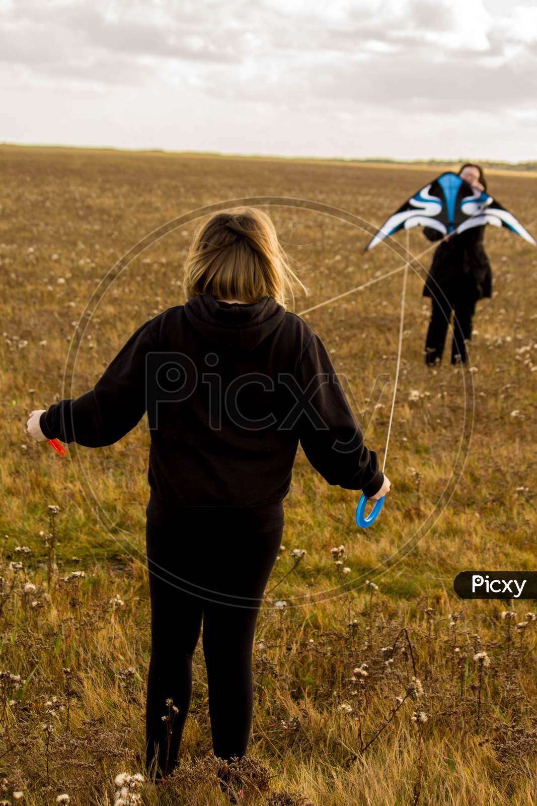 Let's All Fly A Kite