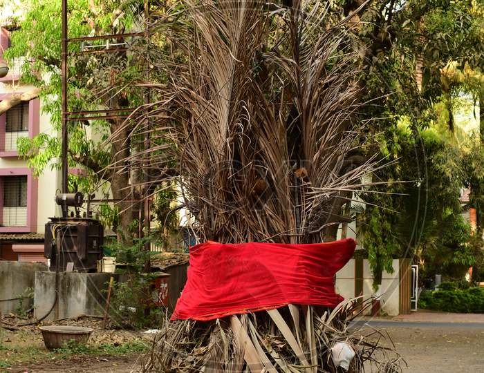 Stack of palm leaves and other organic dry materials  for the bonfire on the eve of the festival of Holi