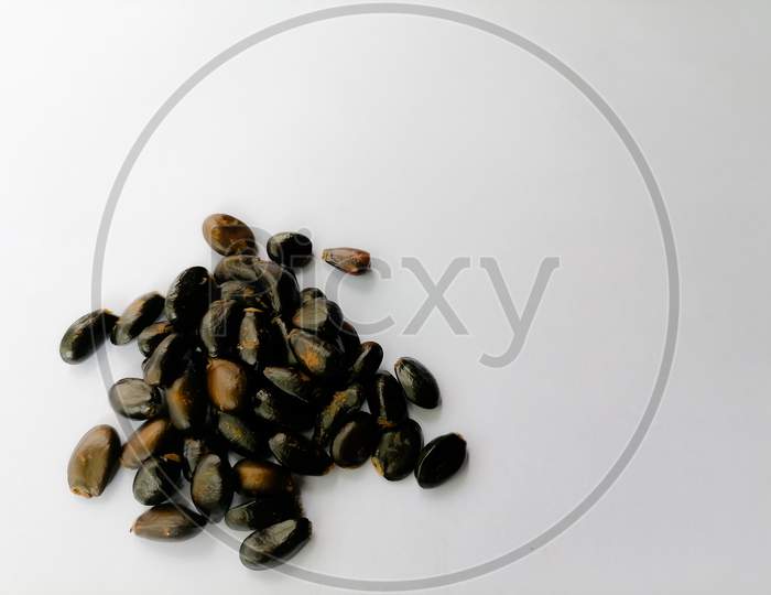 close up view of custard  apple seeds with space for text in the white background