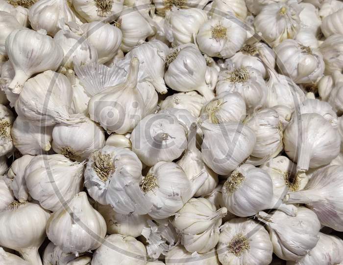White garlic pile texture. Fresh garlic on market table closeup photo. White garlic head heap top view