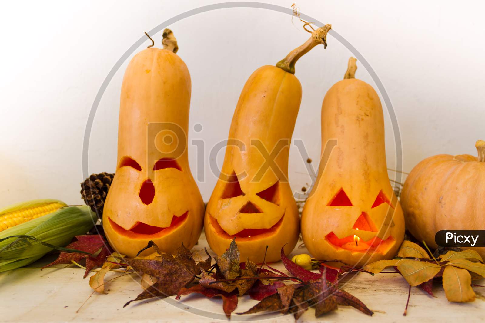 Original Decorations With Long Neck Pumpkins Halloween