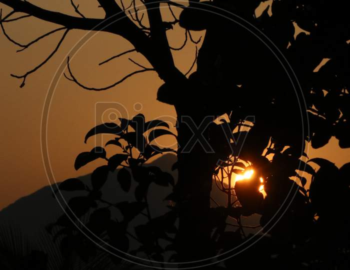 Beautiful sunset seen through branches