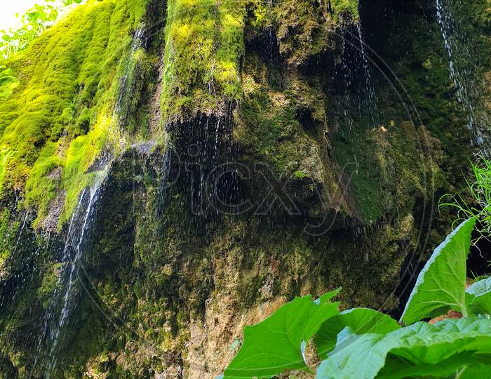 Lush Green Moss At Pietrele Vorbitoare Waterfalls