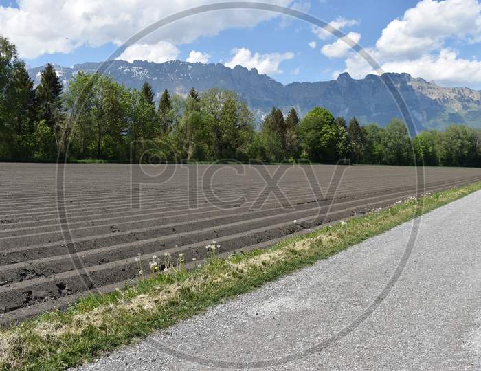 Liechtenstein beautiful landscape and nature 3.5.2020