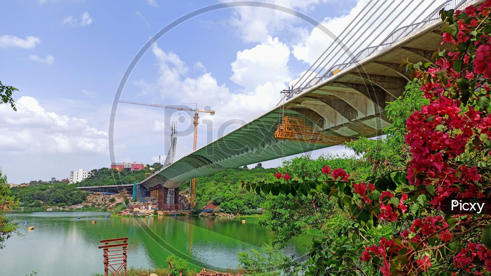 Image of Beautiful View Of Durgam Cheruvu Cable Bridge Hyderabad ...