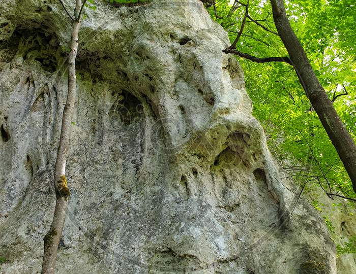 Limestone Rocky Formation At Pietrele Vorbitoare