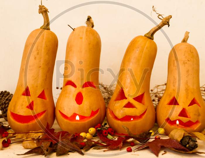 Original Decorations With Long Neck Pumpkins Halloween