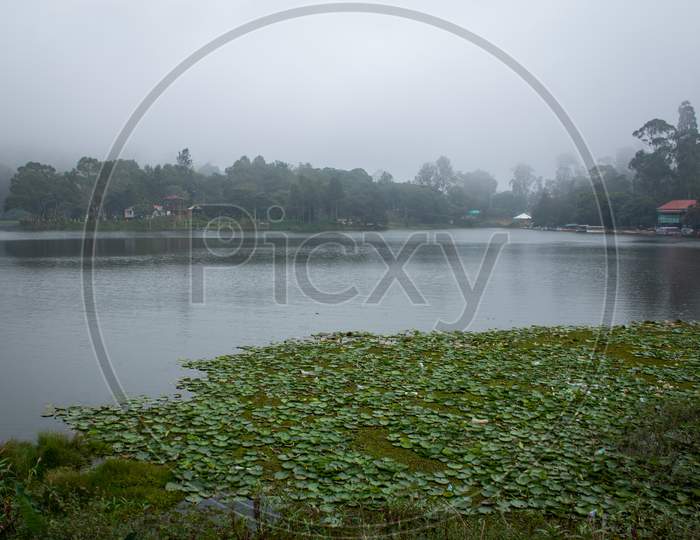 Scenic Yercaud Lake In A Hill Station Near Salem, Tamil Nadu, India