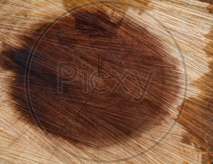 Cut wood surface as texture