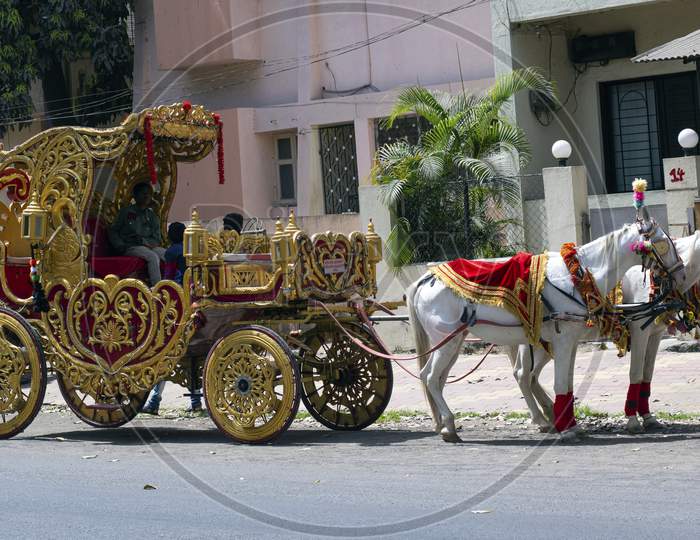 Horse-drawn carriage decorated and waiting by the sidewalk