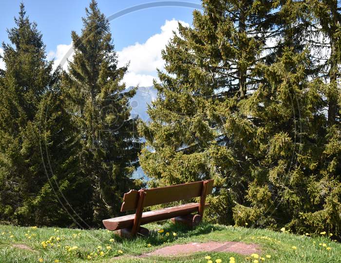 Empty bench on a hill in Switzerland 17.5.2020
