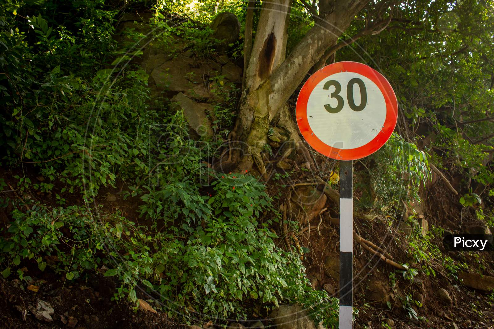 Indian Road Sign Indicating Speed Limit In The Ghat Road Of Yercaud, Salem, Tamil Nadu, India