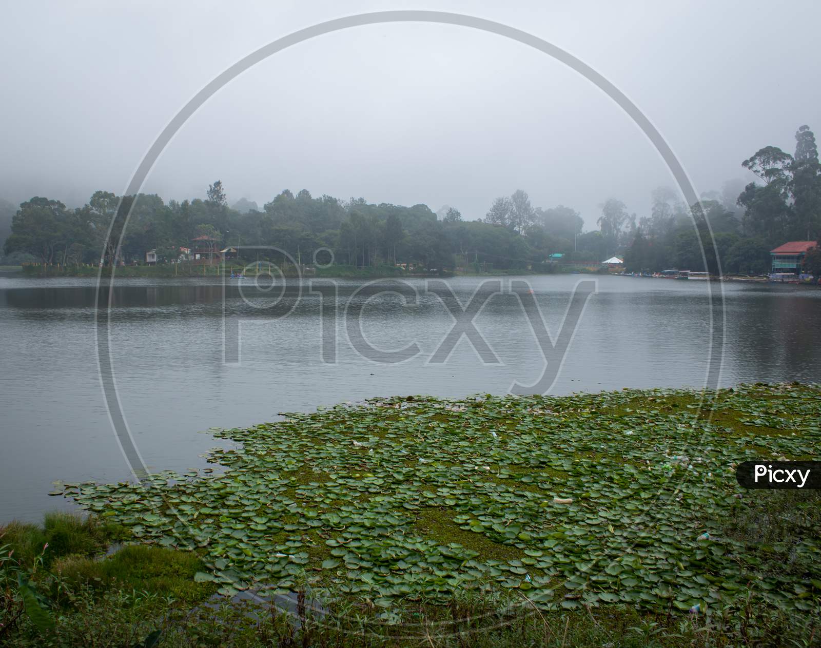 Scenic Yercaud Lake In A Hill Station Near Salem, Tamil Nadu, India