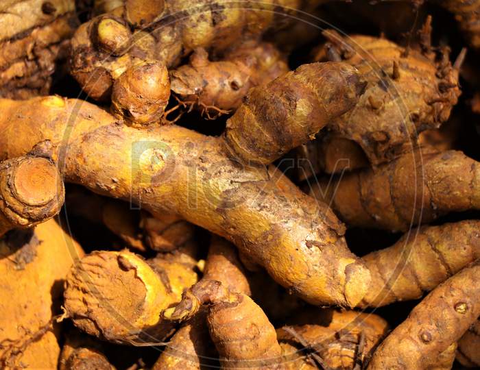 Fresh raw turmeric after steaming
