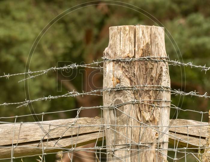 Weathered Fence Post Showing Barbed Wire Along Livestock Fencing. Close Up.