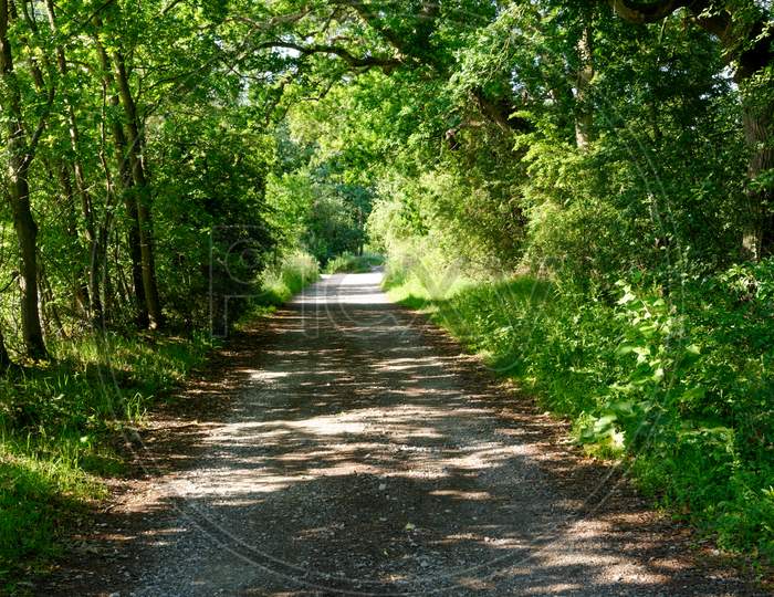 English Countryside Lane