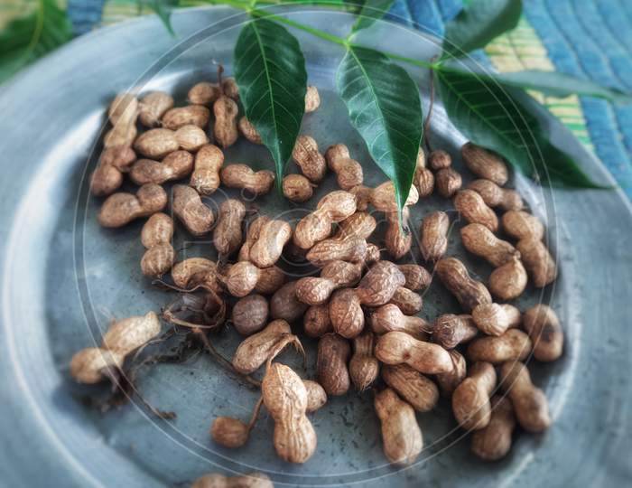 Beautiful looking peanuts