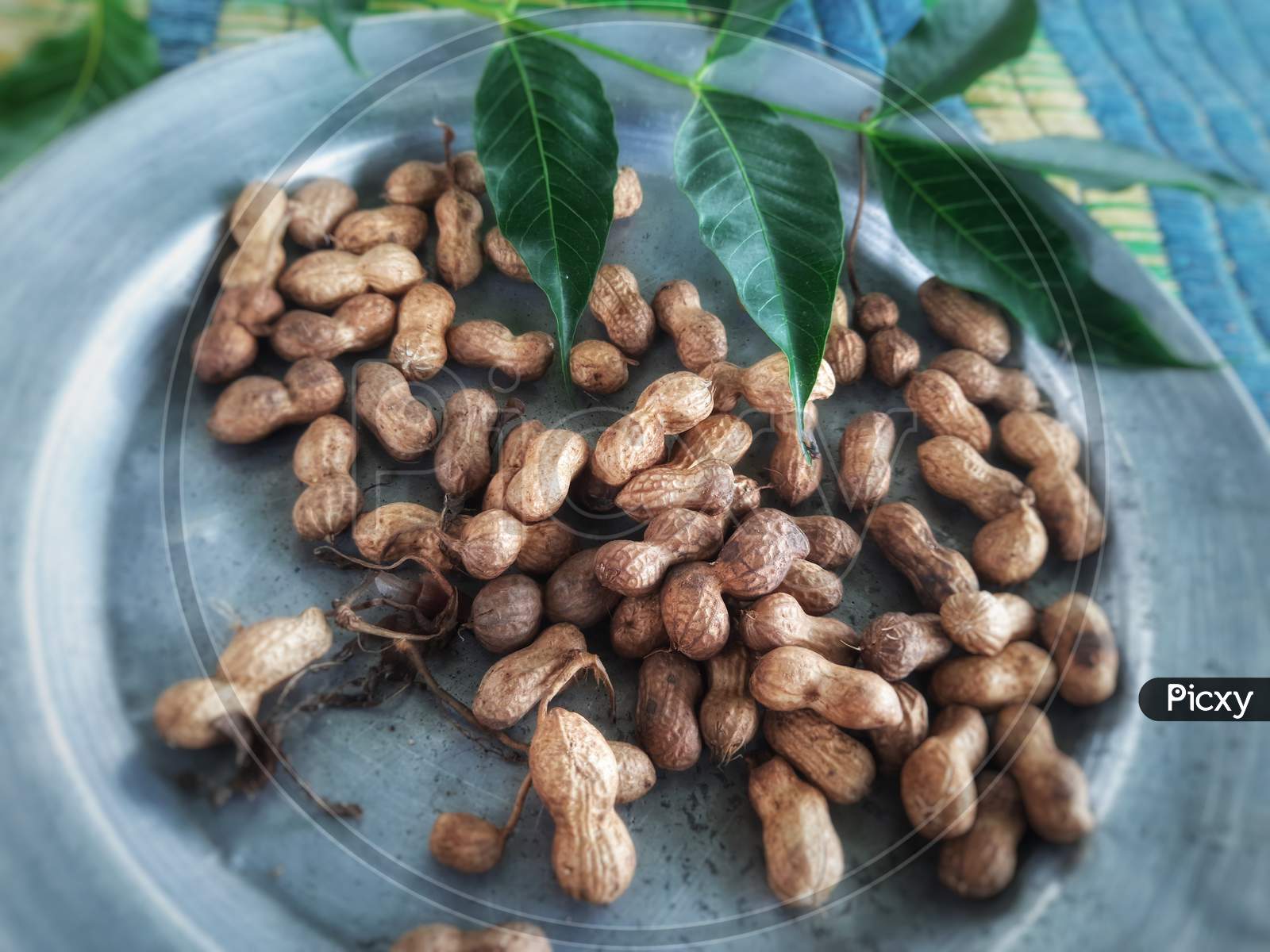 Beautiful looking peanuts