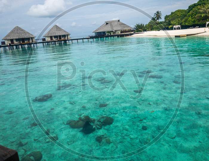 Eagle Ray in front of the water villa