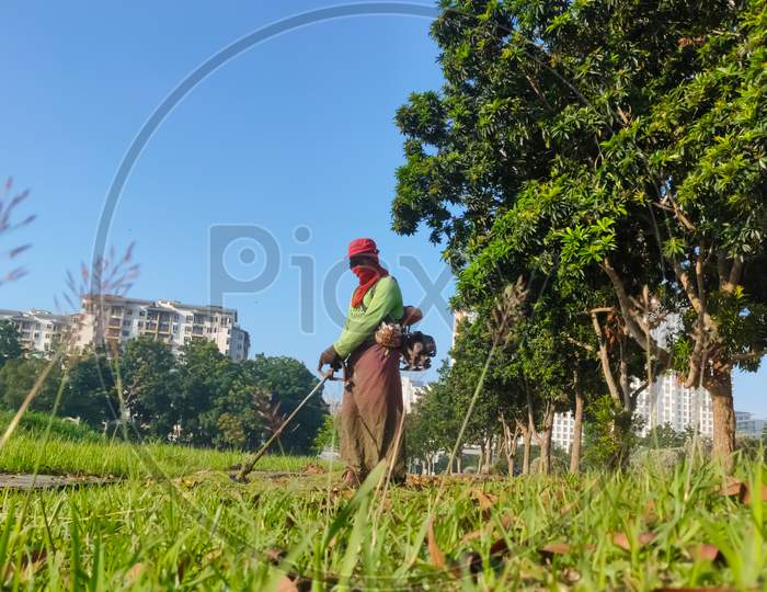 In the morning a worker is carefully cutting the grass