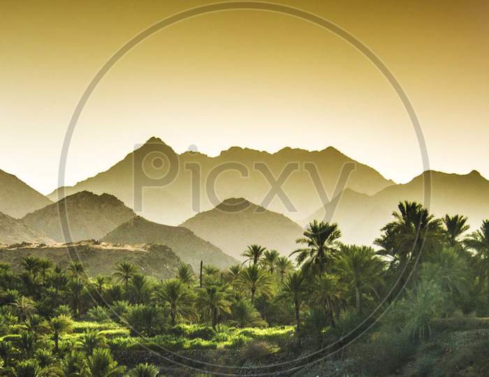 Beautiful pictures of Oman