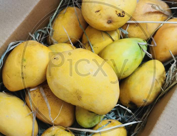 Mangoes packed in a box