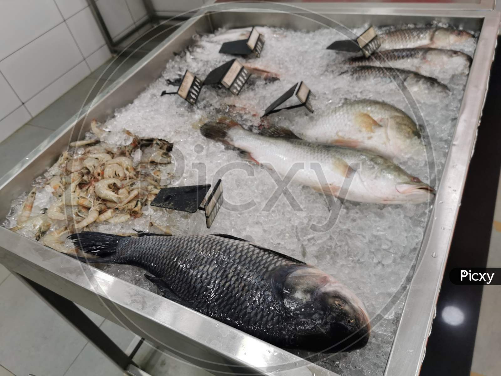 Sea food Fish, Prawns, Crabs in display in tendercuts store