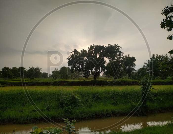 Beautiful Sky And Farm View In Monsoon