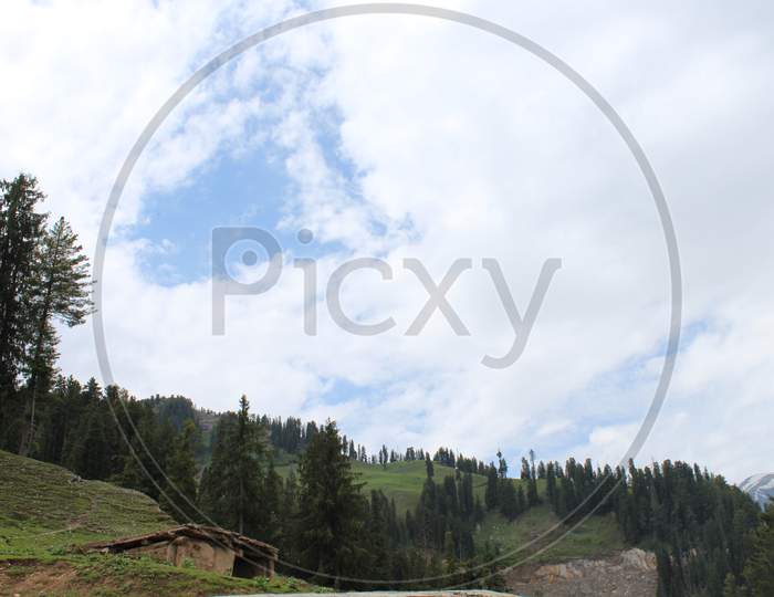 beautiful view of the green valley in the hill station of Bhaderwah