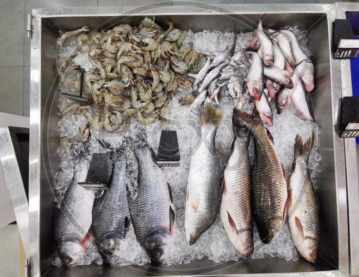 Sea food Fish, Prawns, Crabs in display in tendercuts store