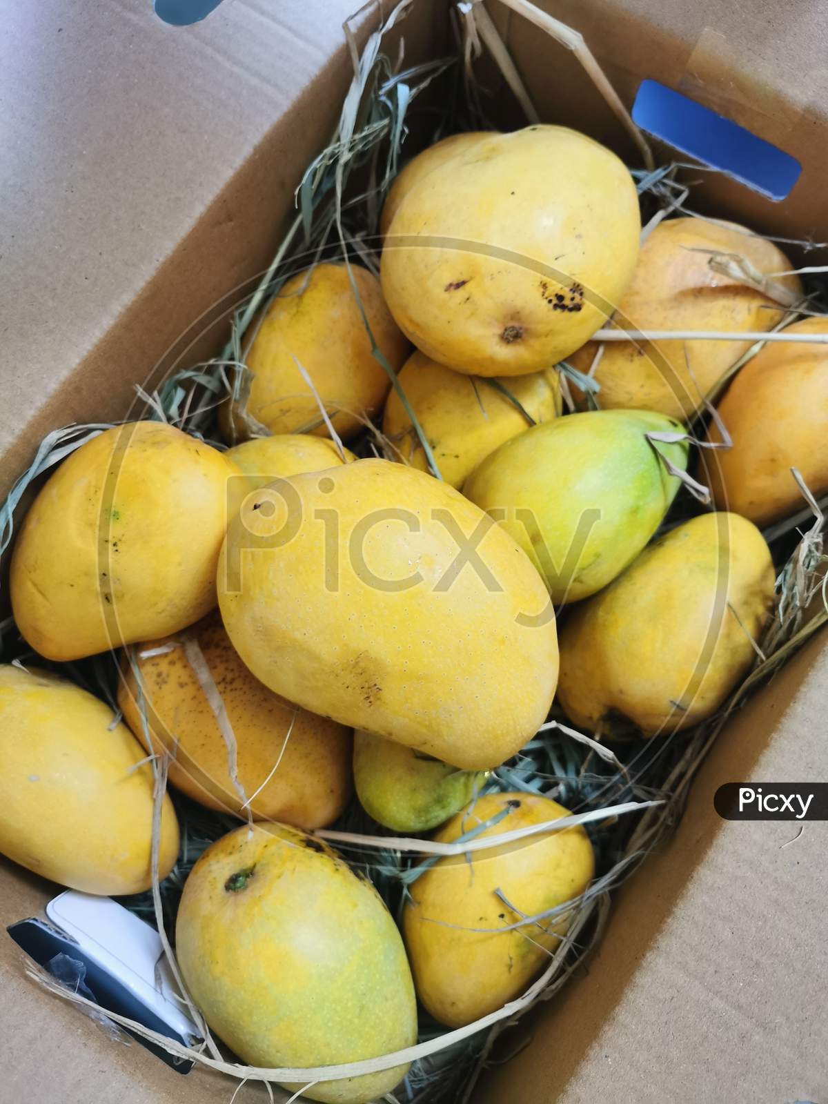 Mangoes packed in a box