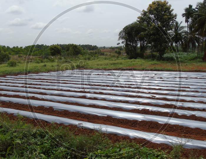 agriculture farm in village