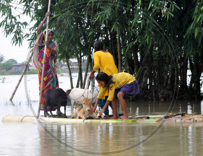 A Woman Rows A Makeshift Raft As She Transports Her Goat Through The Flood Waters In Morigaon District Of Assam On June 25,2020