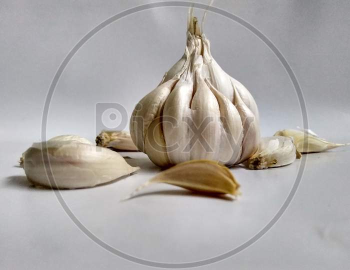 Close up photo of garlic