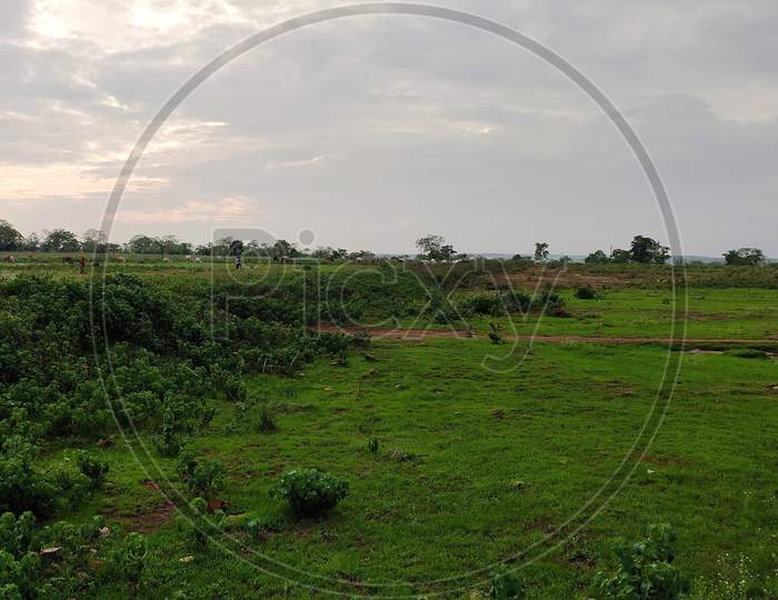 Indian Natural Beauty In Monsoon Countryside Area