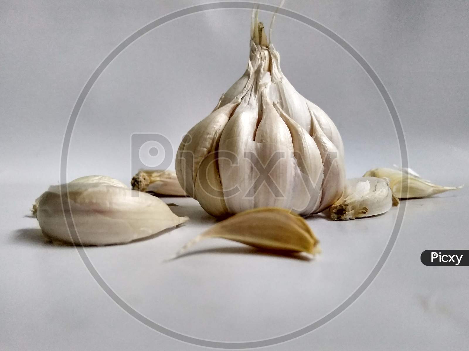 Close up photo of garlic