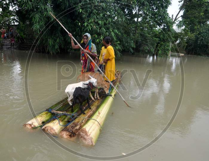 A Woman Rows A Makeshift Raft As She Transports Her Goat Through The Flood Waters In Morigaon District Of Assam On June 25,2020.