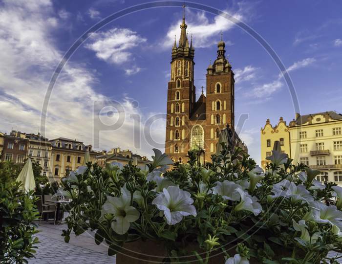 Krakow, Poland - May 18, 2020: Flower Before Famous Church In The City Center.