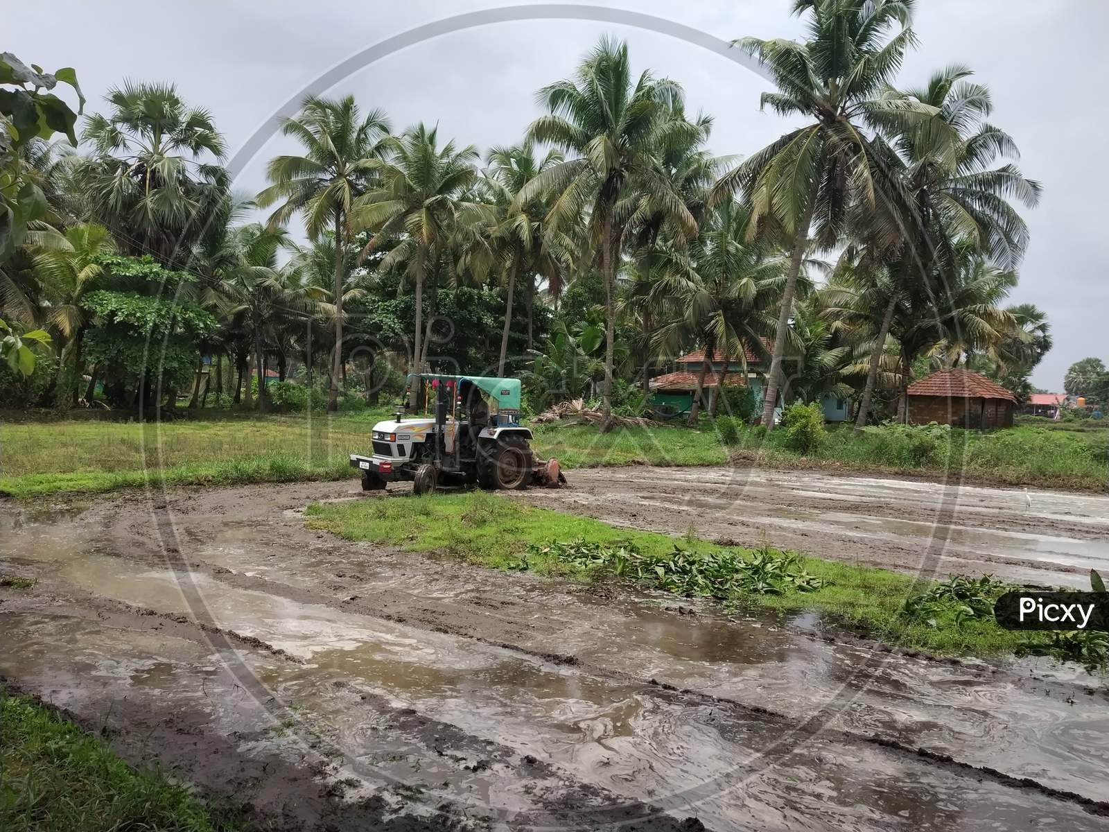 Tractor tilling the land during mansoon