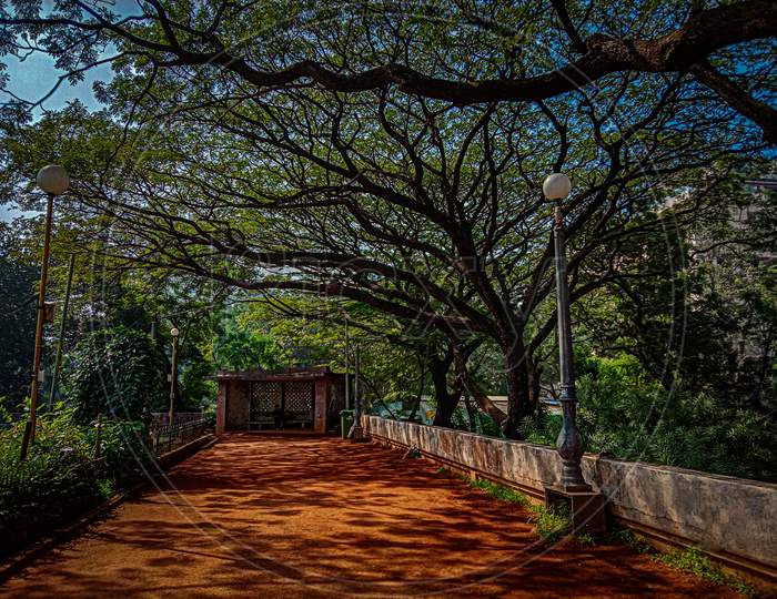 An aesthetic view of Botanical gardens in Mumbai .